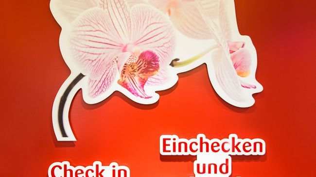 Serways Steigerwald Motel 2*